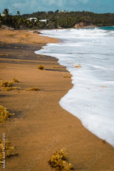 Fototapeta Playa espumosa