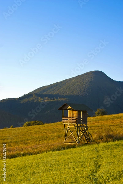 Obraz Watch tower on the meadow
