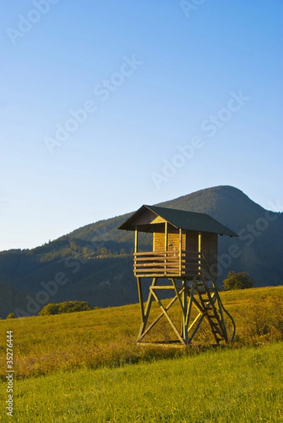 Obraz Watch tower on the meadow