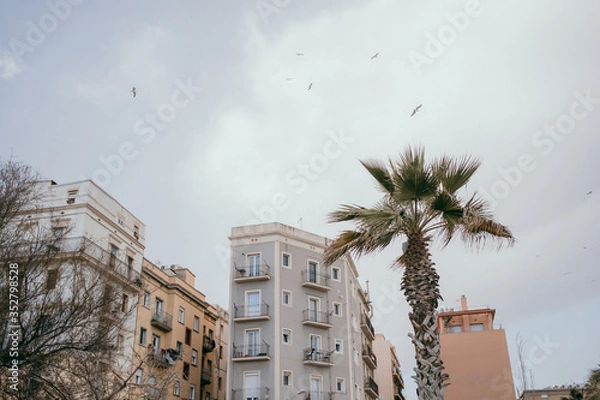 Obraz Barcelona Strandpromenade
