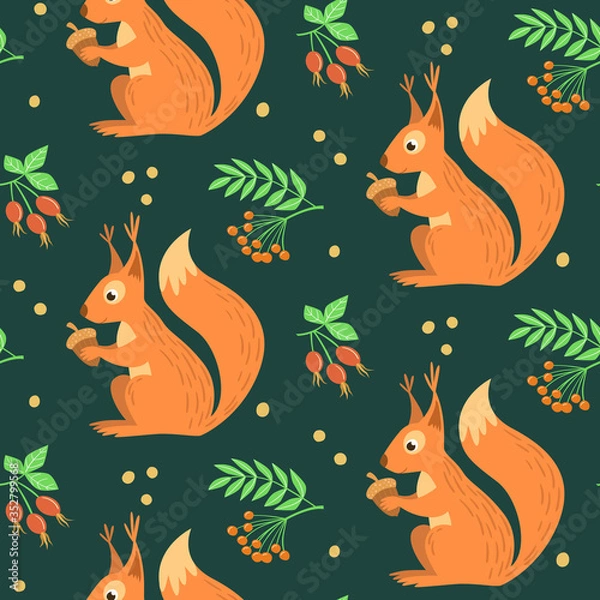 Fototapeta Contrast pattern with cute squirrel, which is holding an acorn. Branches of rose hip and rowan berries. Vector illustration.
