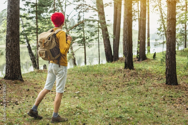 Fototapeta Tourist with a backpack and a red hat is walking in the forest among the trees. Active trekking and unity with nature