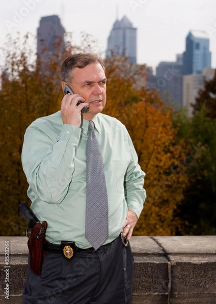 Obraz hardnose detective