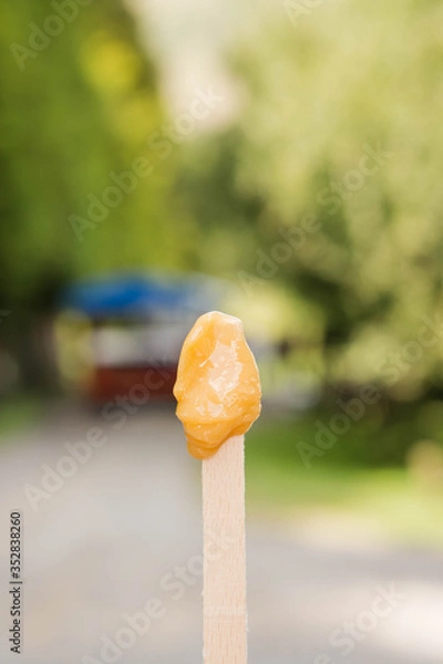 Fototapeta delicious gooey homemade honey on popsicle stick
