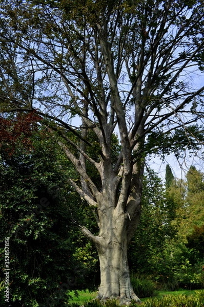 Obraz Giardini di Ninfa