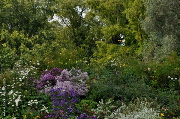 Obraz Giardini di Ninfa