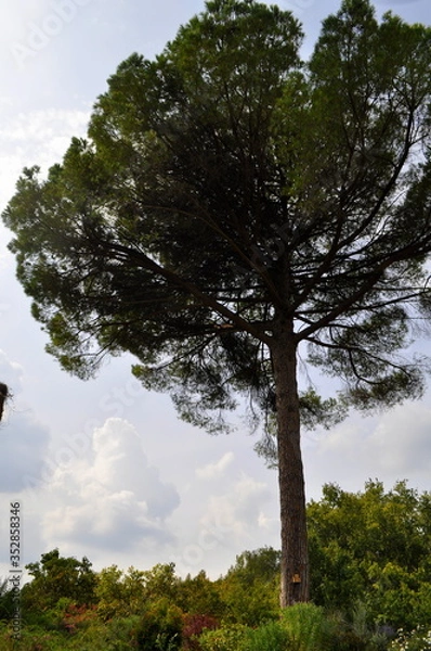 Obraz Giardini di Ninfa