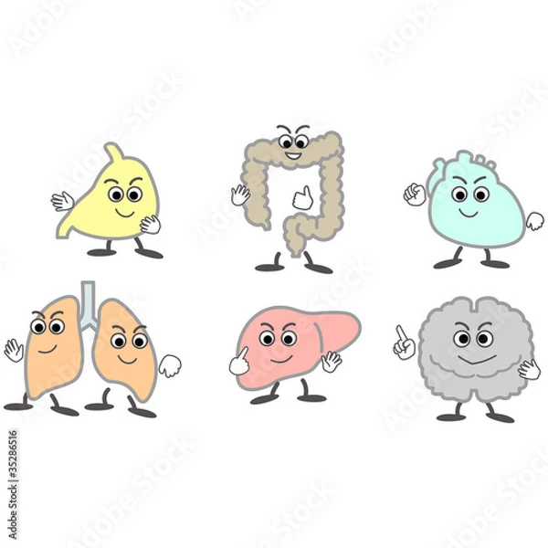 Obraz 臓器キャラクターイラスト