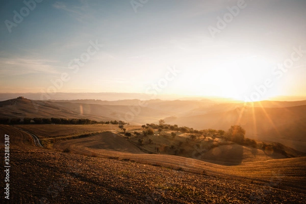 Obraz sunset over the field