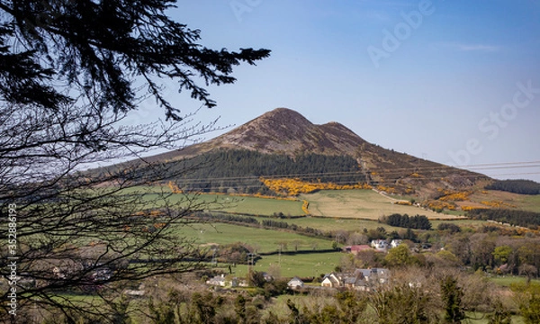 Obraz mountain landscape with trees