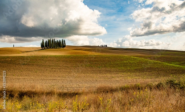 Obraz light bulb in the field