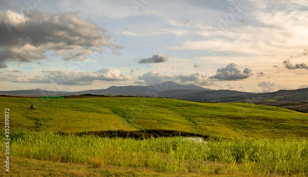 Obraz landscape with green grass and blue sky