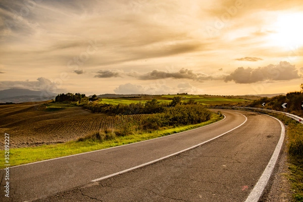 Obraz road in the field