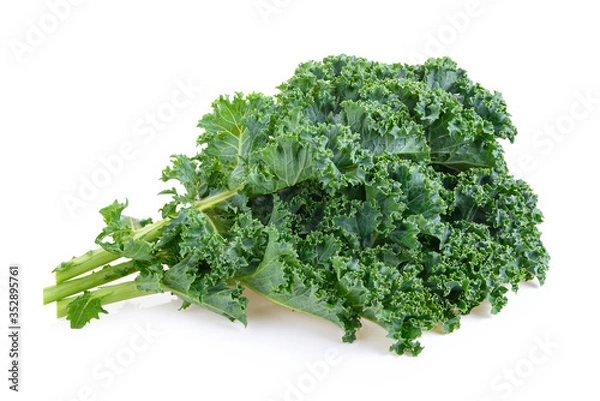 Obraz Fresh kale on white background
