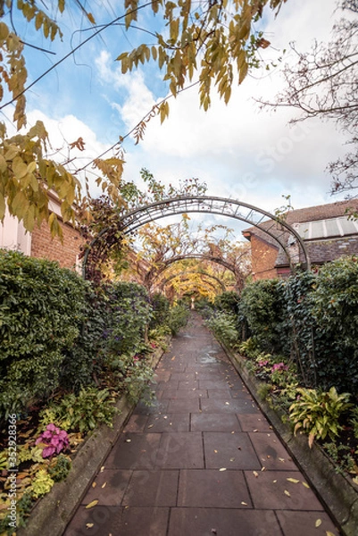 Obraz garden in the park