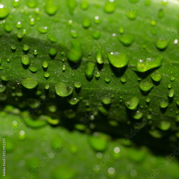 Obraz Tardes de lluvia