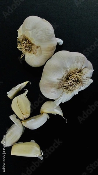 Obraz Garlic on black.
