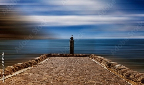 Obraz Lonely seagull