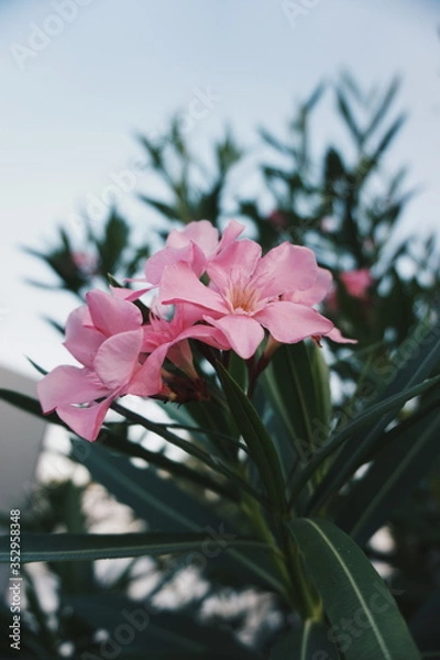 Obraz Processed with VSCO with hb2 preset