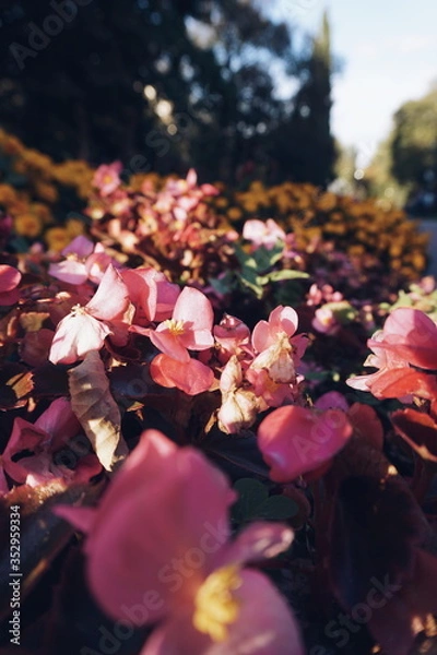 Obraz Processed with VSCO with a5 preset