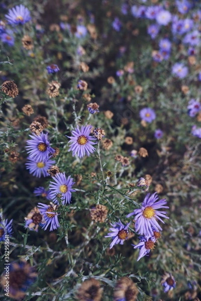 Obraz Processed with VSCO with a5 preset