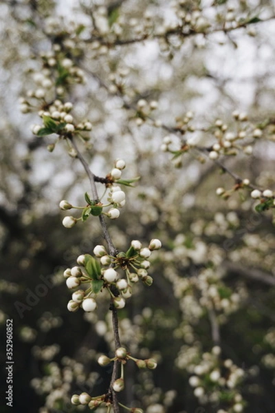 Fototapeta Processed with VSCO with a6 preset