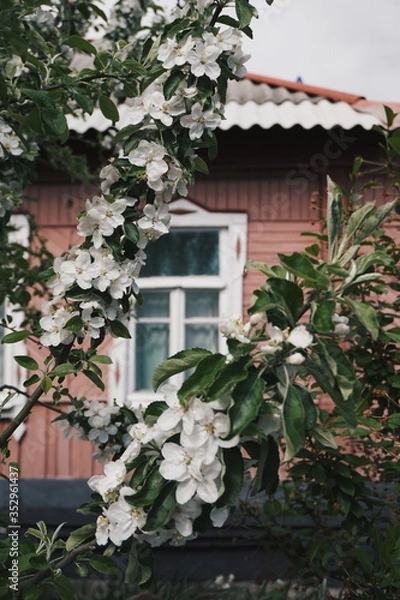 Fototapeta Processed with VSCO with hb2 preset