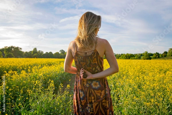 Fototapeta Lady walking at sunset through a field of  rapeseed in the countryside