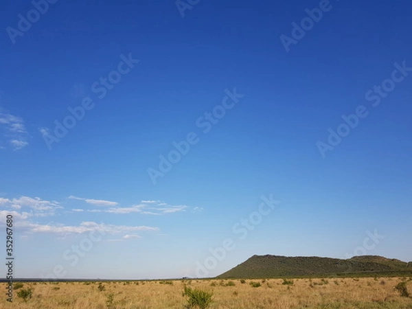 Obraz African landscape.