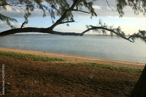 Obraz Plage à la Réunion