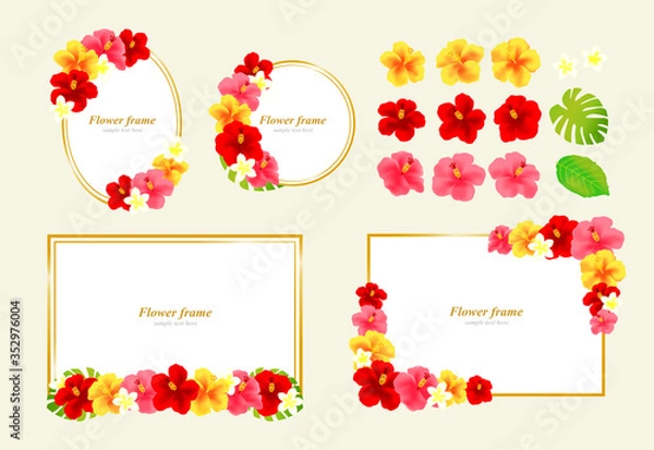 Fototapeta ハイビスカス　プルメリア　フレーム　背景　イラスト