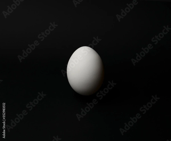 Fototapeta chicken egg on a black background with a space for text