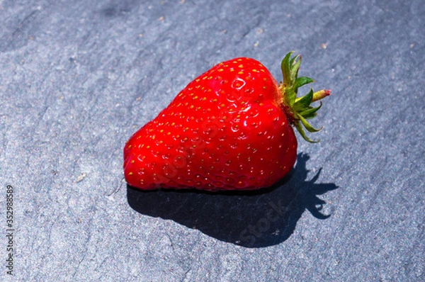 Fototapeta Red bright fresh strawberry closeup on the grey stone background. Isolated berry, berry shadow.