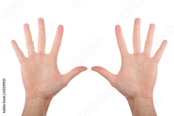 Obraz mani insieme