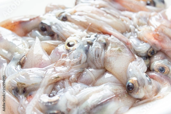 Obraz 生のホタルイカのパックのアップ