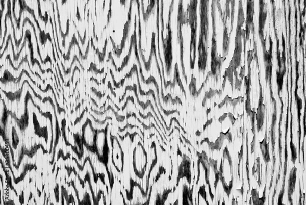 Fototapeta Zebra pattern on an old fishing shed wall