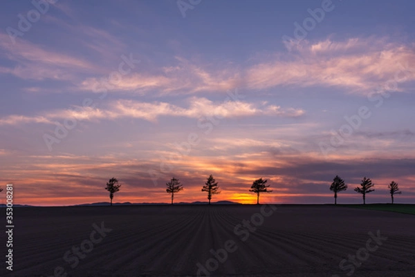 Obraz 北海道美幌町の大地と夕焼け