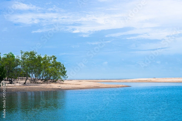 Obraz sandy beach with trees