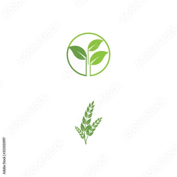 Obraz Leaf Logo Template vector symbol