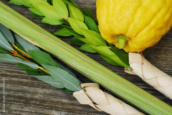 Fototapeta Lulav i Etrog