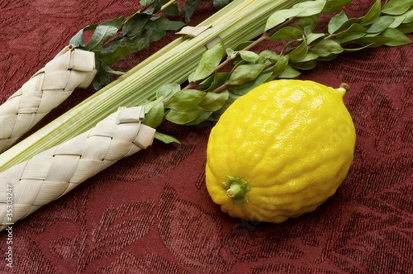 Obraz Lulav and Etrog
