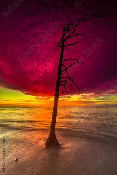 Fototapeta sunset on the beach