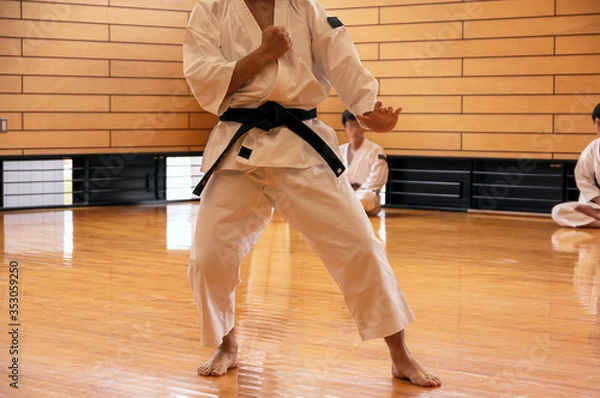 Fototapeta 武道の有段者