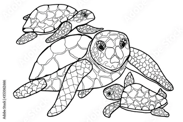 Fototapeta Coloring book with sea turtles. Mom and baby. Design for children and adults. Inhabitants of the ocean, animals with shell. For clothes, tattoos, packaging, textiles, books. Isolate on white.