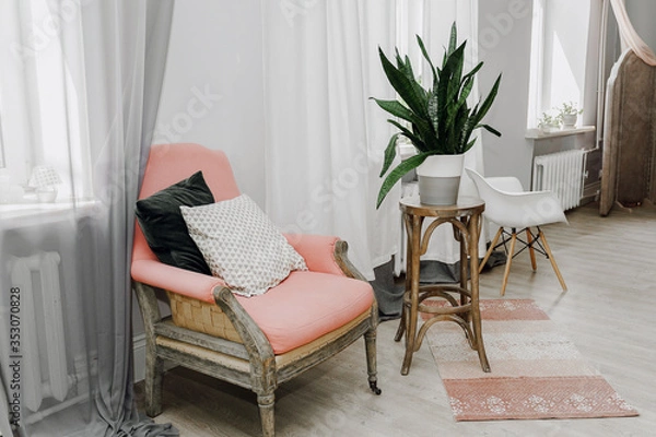 Obraz Vintage mid-century wooden pink armchair with accent pillows and wooden plant stand with bowstring hemp plant in concrete flower pot with rug lying on wooden floor,minimalist modern interior concept.