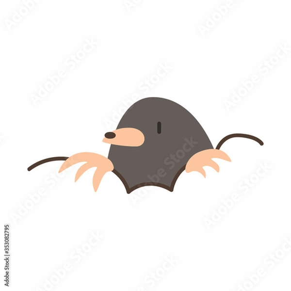 Fototapeta cute mole animal vector