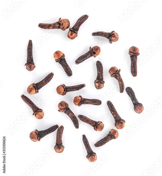 Obraz clove group on white background