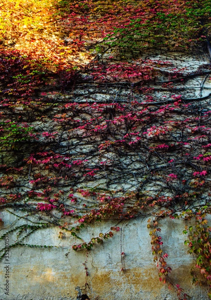 Obraz old grunge wall