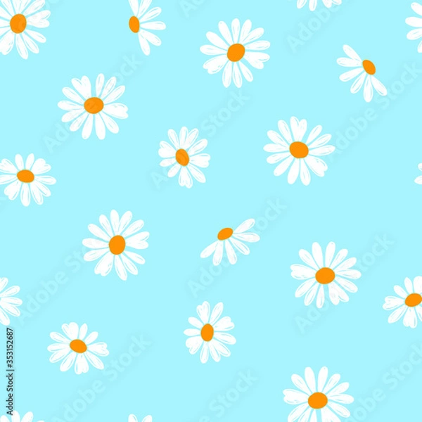 Fototapeta seamless pattern with white daisies 

