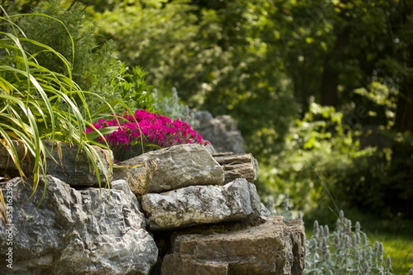 Obraz Rock Garden